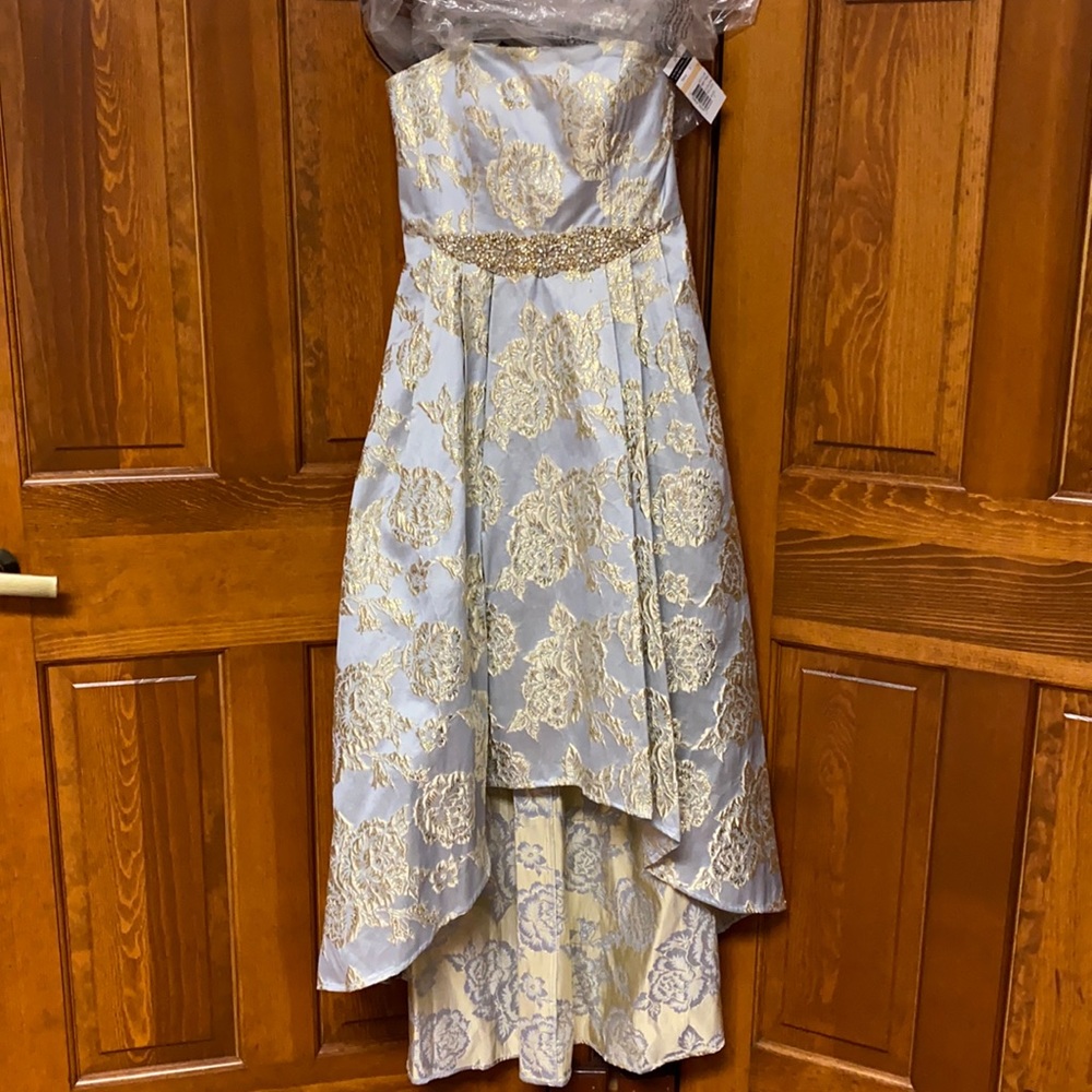 NWT Cachet strapless high-low dress